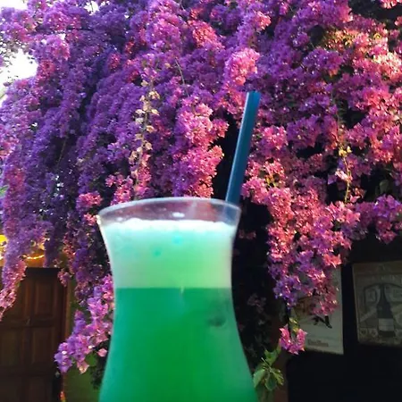 Гостевой дом Casa Austria 3*