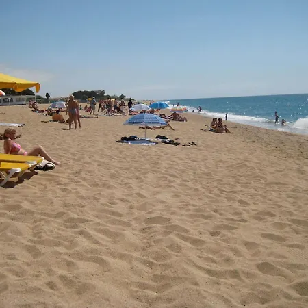 Pensionat Casa Austria 3*