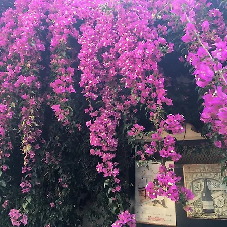 Casa Austria 3* Calella