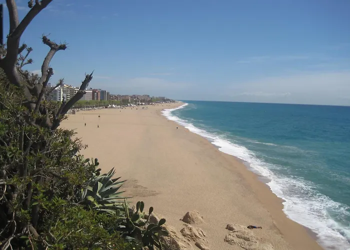 Casa Austria Калелья