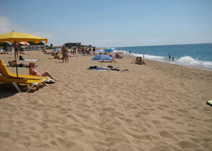 Pensjonat Casa Austria 3*