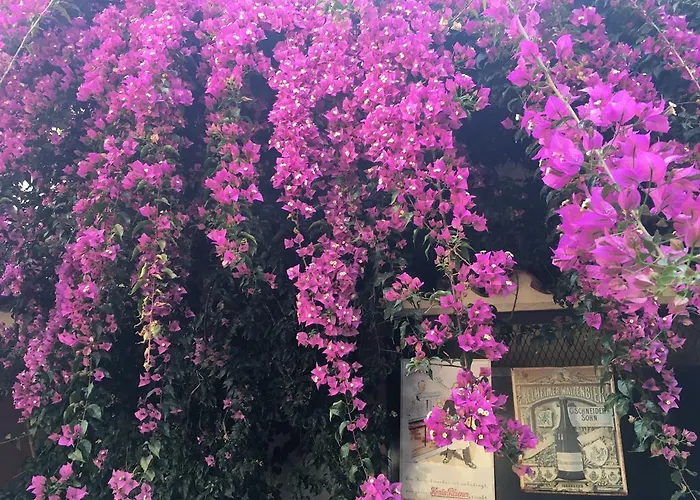 Casa Austria 3* Calella