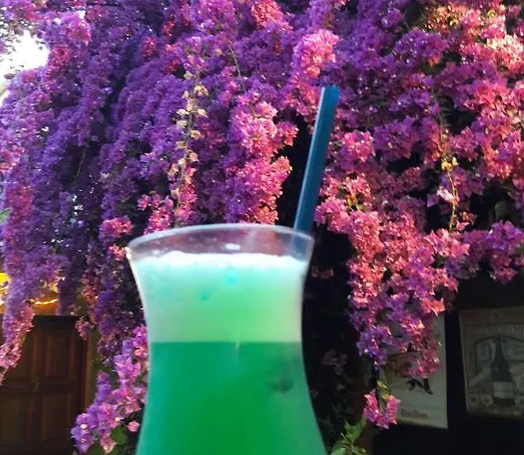 Гостевой дом Casa Austria 3*