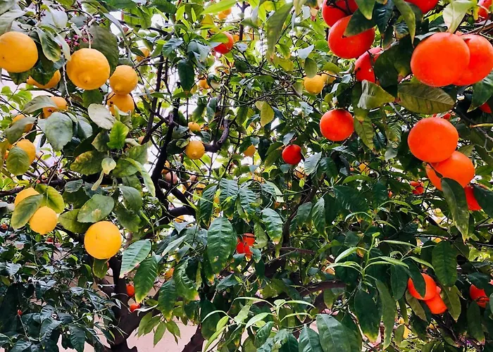 Casa Austria Гостевой дом Калелья